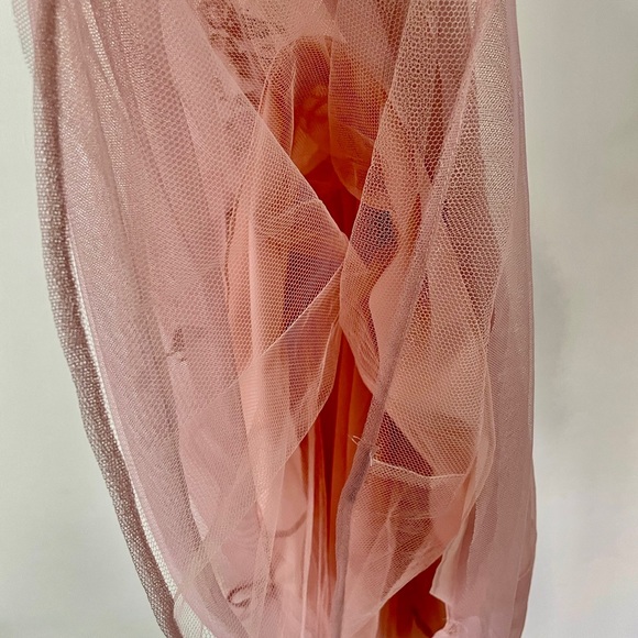 Tea Length Pale Pink crinoline dress, embroidery lace iridescent Butterflies 🦋 - Picture 6 of 8